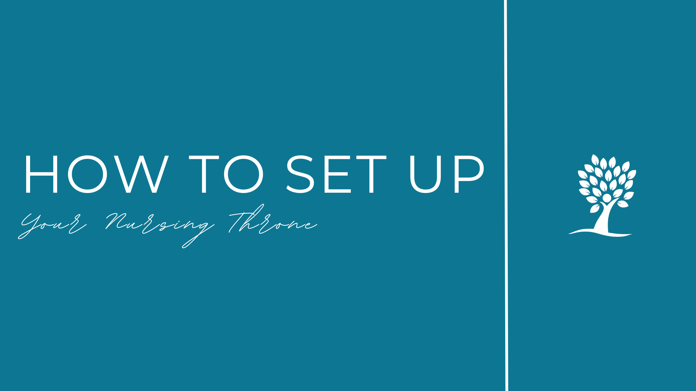 The Tummy Team - Diastasis Recti And Pelvic Floor Healing 5 Image