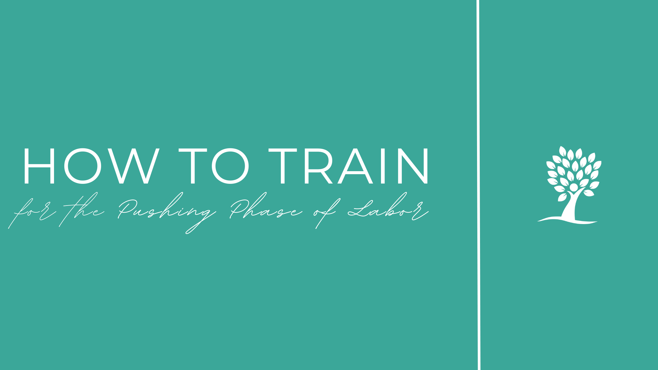 The Tummy Team - Diastasis Recti And Pelvic Floor Healing 4 Image