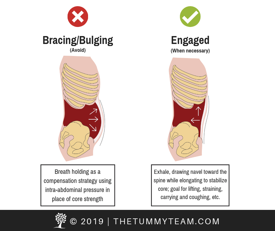 The Tummy Team - Diastasis Recti And Pelvic Floor Healing 3 TA Stages TSF Blog - The Tummy Team