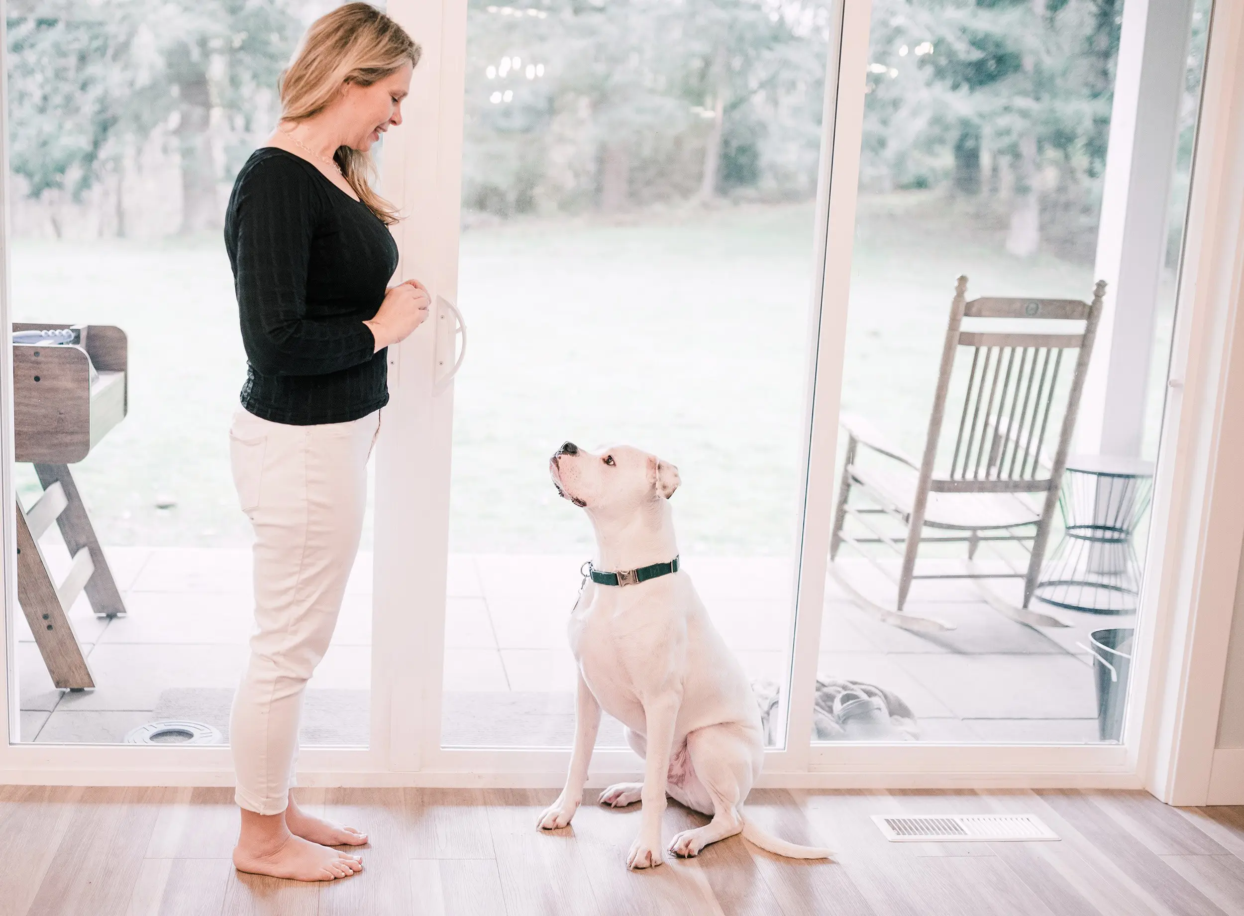 The Tummy Team - Diastasis Recti And Pelvic Floor Healing 8 Image