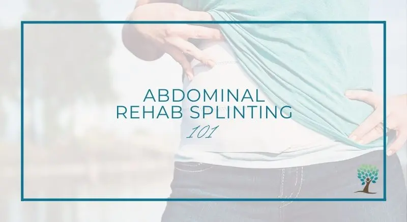 The Tummy Team - Diastasis Recti And Pelvic Floor Healing 4 Image