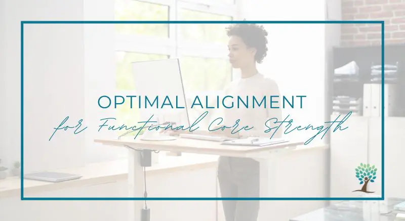 The Tummy Team - Diastasis Recti And Pelvic Floor Healing 25 Optimal Alignment for functional core strength course
