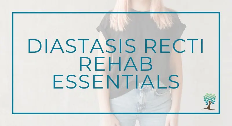 The Tummy Team - Diastasis Recti And Pelvic Floor Healing 23 Image