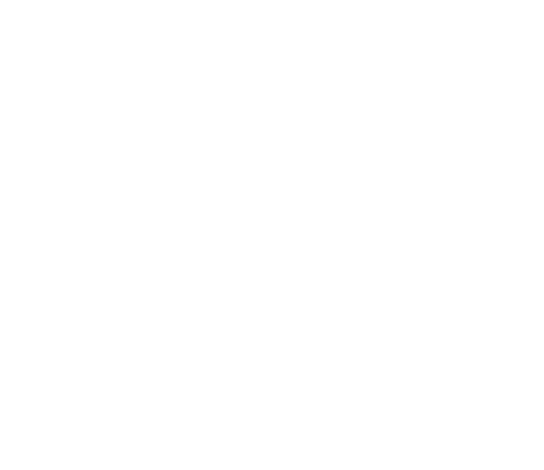 The Tummy Team - Diastasis Recti And Pelvic Floor Healing 2 Image