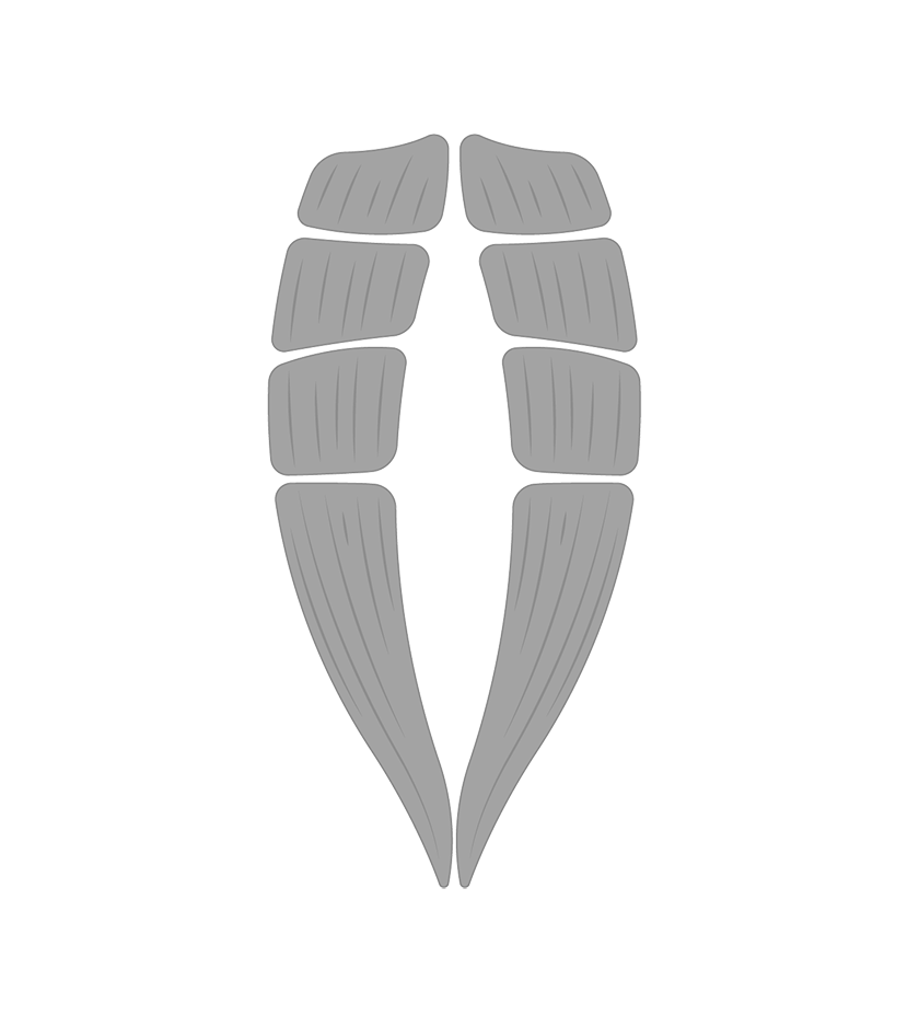 The Tummy Team - Diastasis Recti And Pelvic Floor Healing 3 Image