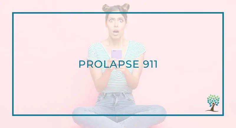 Prolapse 101 Therapy course